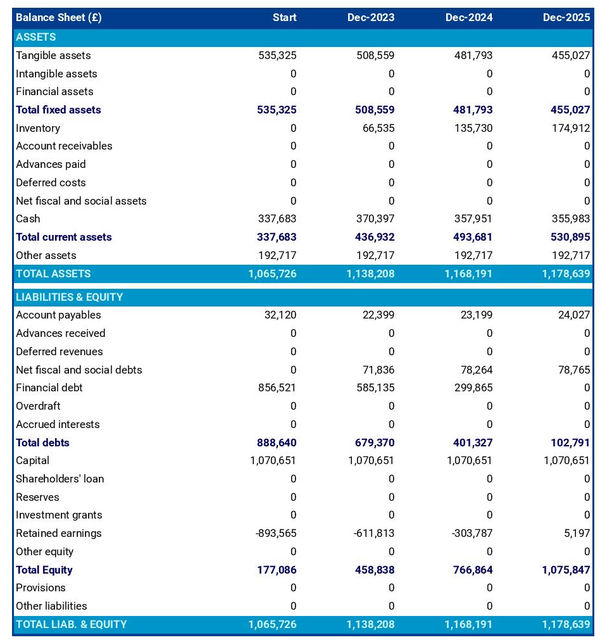 example of asparagus farm startup projected balance sheet