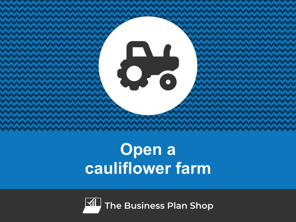 how to open a cauliflower farm