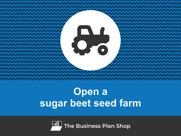 how to start a sugar beet seed farm