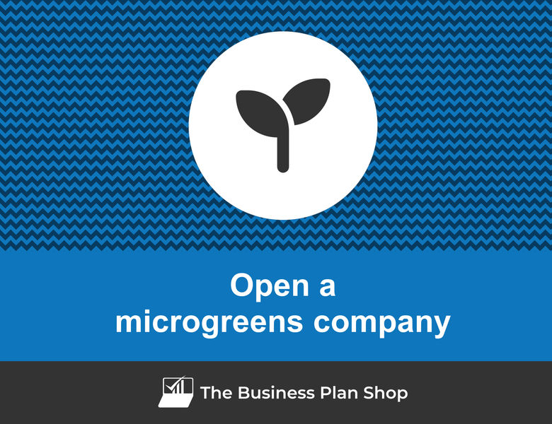 How to write a business plan for a microgreens company?