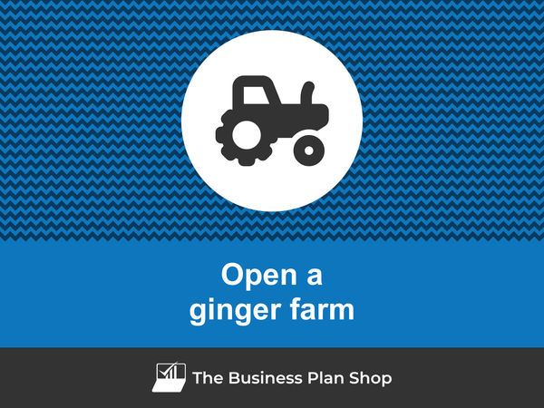 how to start a ginger farm