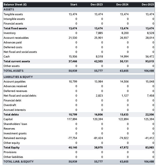 kiwi fruit farm startup balance sheet example