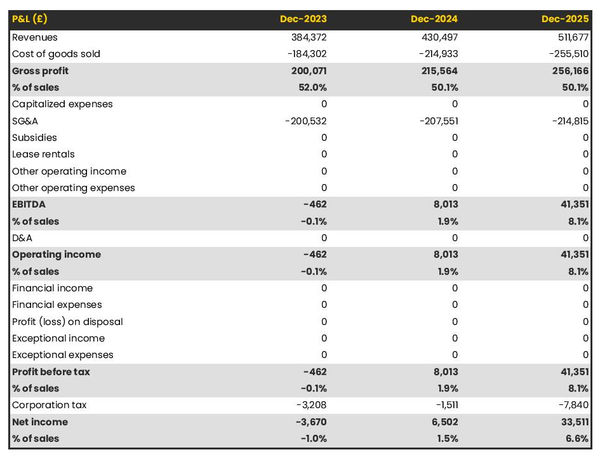 projected raspberry farm startup income statement