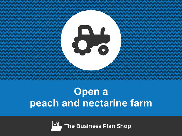 how to open a peach and nectarine farm