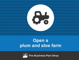 How to open a plum and sloe farm?