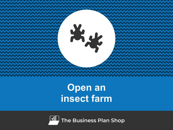 open an insect farm