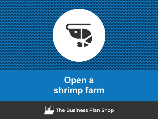 open a shrimp farm