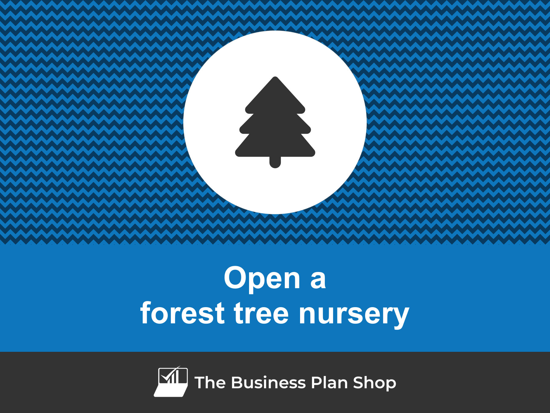 How to open a profitable forest tree nursery?