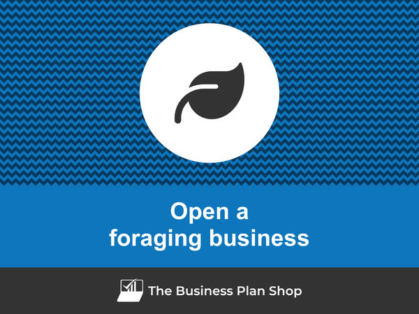 how to start a foraging business