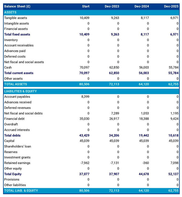 forest management consulting firm startup balance sheet example