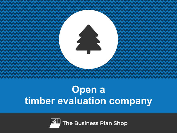 how to open a timber evaluation company