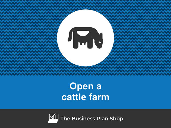 how to open a cattle farm