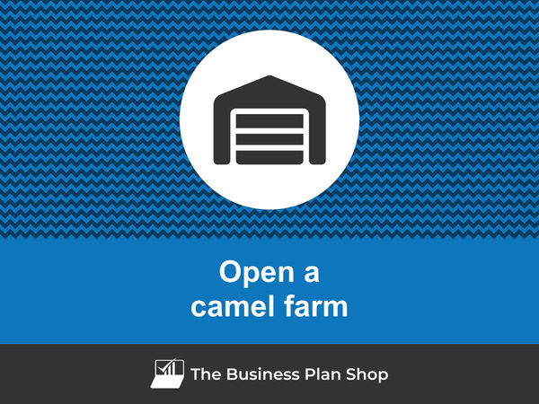 how to start a camel farm