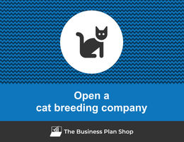 How To Open A Profitable Hinny Breeding Company?