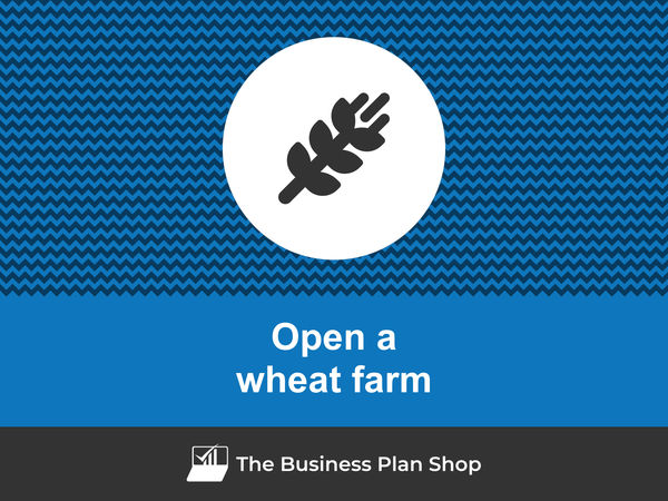 how to start a wheat farm