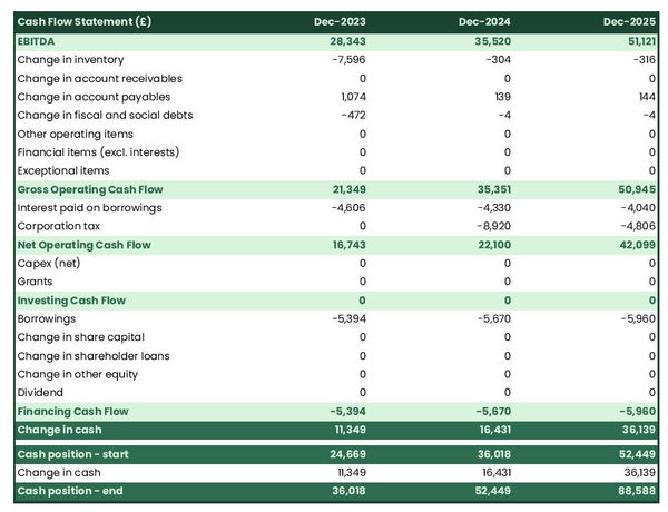 rye farm startup projected cash flow statement