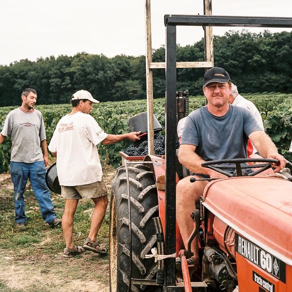 créateur d'une entreprise de viticulture