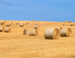 ouvrir une exploitation agricole