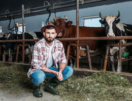 Business plan d'une exploitation agricole