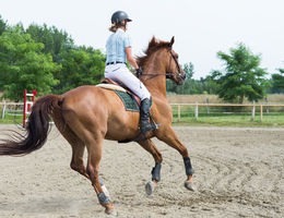 Ouvrir un club équestre