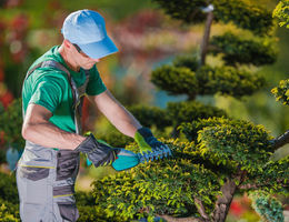 Comment ouvrir une entreprise de paysagisme&nbsp;?