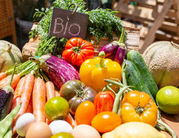 Comment ouvrir un magasin bio sans apport&nbsp;?