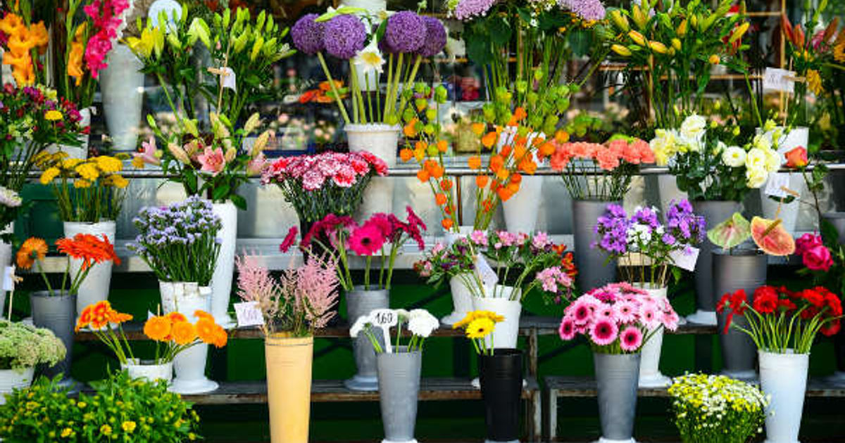 Les français et les fleurs, découvrez vos habitudes - Elle Décoration