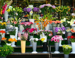 Étude de marché d'un fleuriste