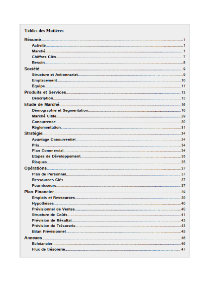 table des matières de l'exemple de business plan d'organisme de formation