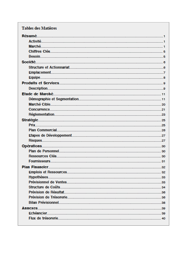 table des matières du modèle de business plan d'épicerie en vrac