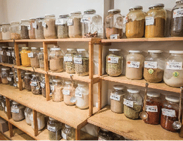 Modèle de business plan pour un magasin zéro déchet