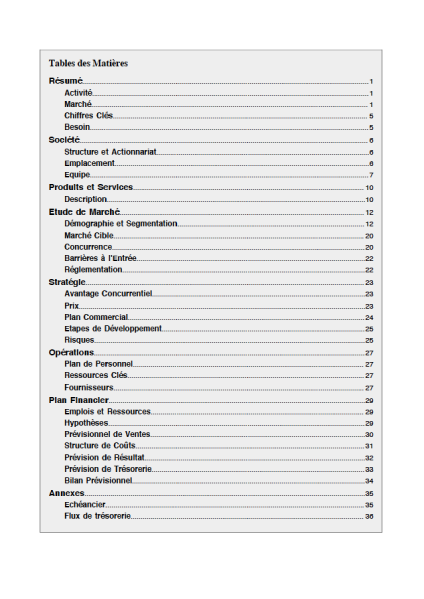 table des matières du modèle de business plan d'agence événementielle