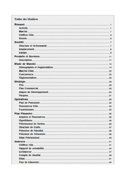 table des matières du modèle de business plan marque de cosmétiques