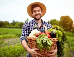 Ouvrir une exploitation maraîchère bio