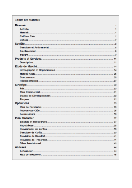 table des matières du modèle de business plan de garage automobile
