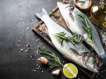 comment faire un business plan modèle modèle de business plan de poissonnerie