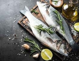 Modèle de business plan de poissonnerie