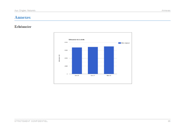 Exemple de graphique du modèle de business plan bar à ongles