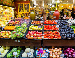 Modèle de business plan pour un primeur