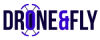 Drone & Fly