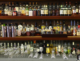 Bar business plan template