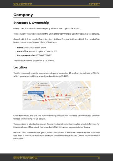 company overview included in bar business plan template