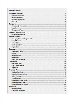 business plan template bar summary