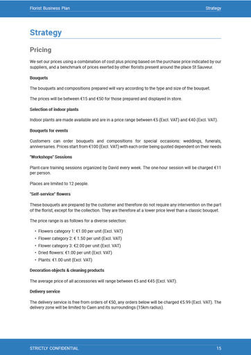 business plan example: strategy section