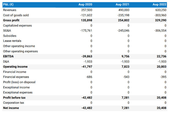 How To Create A Financial Forecast For A Clothing Line   Clothing Line Profit And Loss 