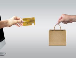 E-commerce business plan example