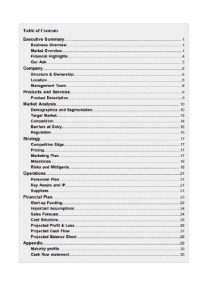 business plan template hotel summary