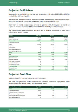 shoe making business plan template