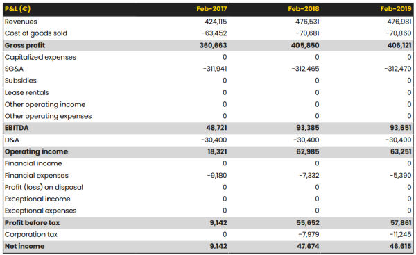 hotel business plan profit and loss statement