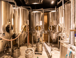 Modèle de business plan pour une micro-brasserie